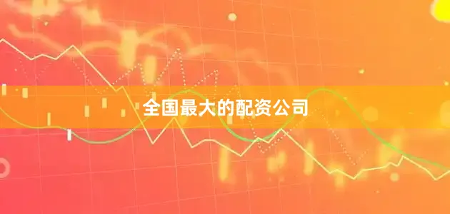 全国最大的配资公司