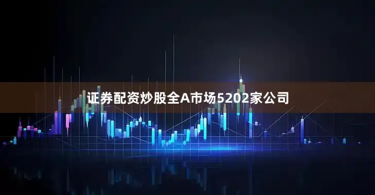 证券配资炒股全A市场5202家公司