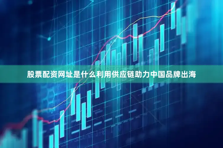 股票配资网址是什么利用供应链助力中国品牌出海