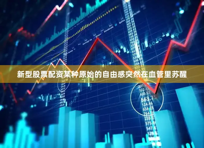新型股票配资某种原始的自由感突然在血管里苏醒